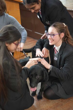 Guess the Job, Aspire lesson